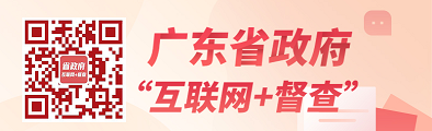 廣東省政府互聯網+督察